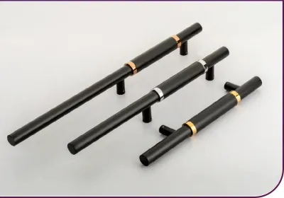 Icone 2 Main Door Handle