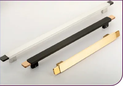 Skyline 2 Main Door Handle